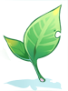 Emerald Leaf, предмет (Renewal)