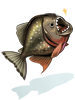Piranha, предмет (Renewal) Piranha, предмет (Renewal)