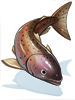 Salmon, предмет (Renewal)
