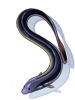 Eel, предмет (Renewal) Eel, предмет (Renewal)