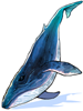 Blue Whale, предмет (Renewal)