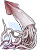 Giant Squid, предмет (Renewal) Giant Squid, предмет (Renewal)