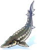 Sturgeon, предмет (Renewal) Sturgeon, предмет (Renewal)