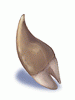 Ogre Tooth, предмет (Renewal)