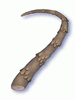 Tough Scalelike Stem, предмет (Renewal) Tough Scalelike Stem, предмет (Renewal)