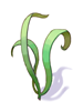 Singing Plant, предмет (Renewal)