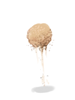 Sand Clump, предмет (Pre-Renewal)