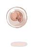Embryo, предмет (Pre-Renewal)