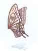 Giant Butterfly Wing, предмет (Pre-Renewal) Giant Butterfly Wing, предмет (Pre-Renewal)