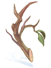 Strong Branch, предмет (Renewal) Strong Branch, предмет (Renewal)