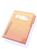 Sealed File Folder, предмет (Pre-Renewal) Sealed File Folder, предмет (Pre-Renewal)
