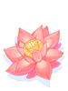 Lotus Flower, предмет (Renewal) Lotus Flower, предмет (Renewal)