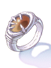 Brown Jenoss's Family Ring, предмет (Pre-Renewal) Brown Jenoss's Family Ring, предмет (Pre-Renewal)