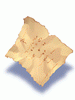 Burnt Pieces Of Paper, предмет (Renewal) Burnt Pieces Of Paper, предмет (Renewal)