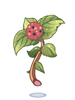 Poison Herb Rantana, предмет (Renewal) Poison Herb Rantana, предмет (Renewal)