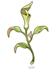 Poison Herb Seratum, предмет (Renewal)