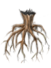 Tree Root, предмет (Renewal) Tree Root, предмет (Renewal)