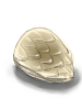 Scale Shell, предмет (Pre-Renewal) Scale Shell, предмет (Pre-Renewal)