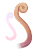 Yoyo Tail, предмет (Renewal)