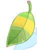 Raccoon Leaf, предмет (Renewal)