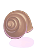 Snail's Shell, предмет (Renewal)