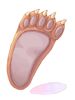 Bear's Footskin, предмет (Renewal) Bear's Footskin, предмет (Renewal)