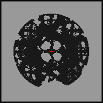 Biosphere Specimen Environment: Death, 1st floor, местность (Pre-Renewal)