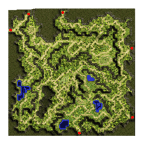Comodo Field 1: Papuchicha Forest, местность (Pre-Renewal)
