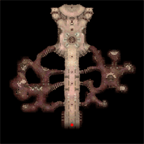 Sacred Root, местность (Pre-Renewal)