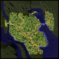 Malaya Field 2: Forest, местность (Renewal)