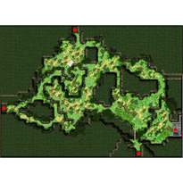 Payon Forest 3, местность (Pre-Renewal)