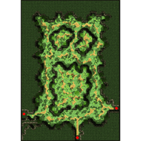 Payon Forest 8, местность (Renewal)
