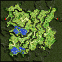 Umbala Field 1: Luluka Forest, местность (Renewal)