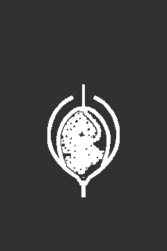 Dicastes Diel, город (Pre-Renewal)