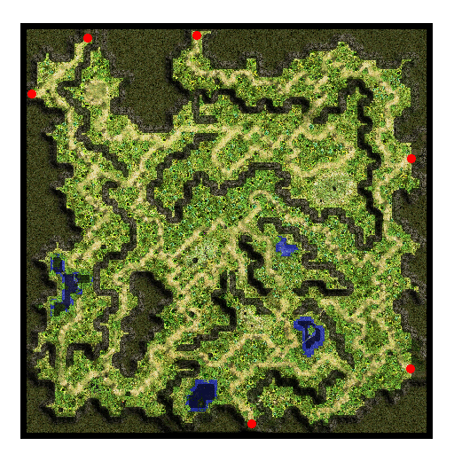 Comodo Field 1: Papuchicha Forest, местность (Pre-Renewal) Comodo Field 1: Papuchicha Forest, местность (Pre-Renewal)