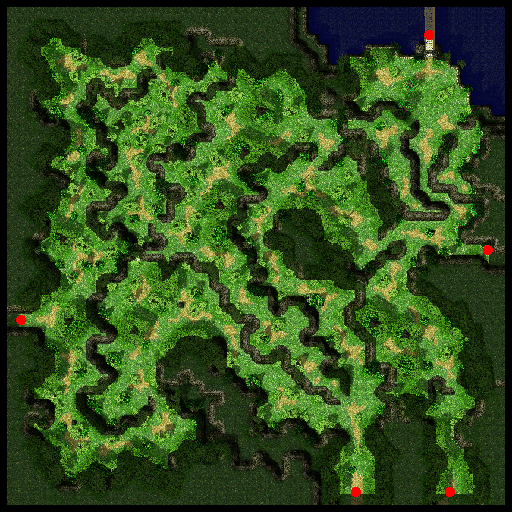 Payon Forest 1, местность (Pre-Renewal) Payon Forest 1, местность (Pre-Renewal)