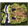 Ayothaya Field 2, местность (Renewal)