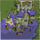 Ayothaya - The Land of Majectic Culture, город (Pre-Renewal)