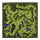 Comodo Field 1: Papuchicha Forest, местность (Pre-Renewal)