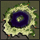 Hugel Field 5: The Abyss Lake, местность (Pre-Renewal)