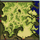 Prontera field 8D, местность (Renewal)