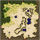 Prontera Field 9, местность (Renewal)