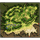 Prontera Field 10, местность (Pre-Renewal)
