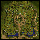 Splendide, Forest Village - The garrison base of the Laphine