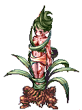 Dryad, монстр 50 уровня (Pre-Renewal) Dryad, монстр 50 уровня (Pre-Renewal)