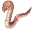 Snake Lord's Minion (G), монстр 23 уровня (Pre-Renewal)