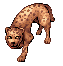 Jaguar, монстр 71 уровня (Pre-Renewal) Jaguar, монстр 71 уровня (Pre-Renewal)