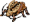 Golden Thief Bug, босс 64 уровня (Pre-Renewal)