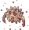 Demon Pungus, монстр 56 уровня (Pre-Renewal)