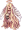 Mistress of Shelter, босс 80 уровня (Pre-Renewal)